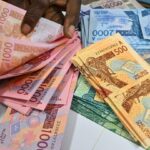 jad20240708-eco-cedeao-franc-cfa