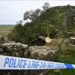 cover-r4x3w1200-6877bce99f2af-afp-20250715-66ua6cq-v1-highres-filesbritainnaturepolicetree